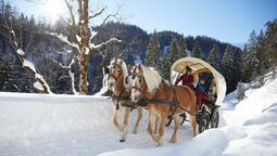 Pferdeschlittenfahrt in den Tälern von Achenkirch