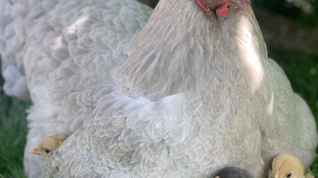 Ausblick Sonnenuntergang