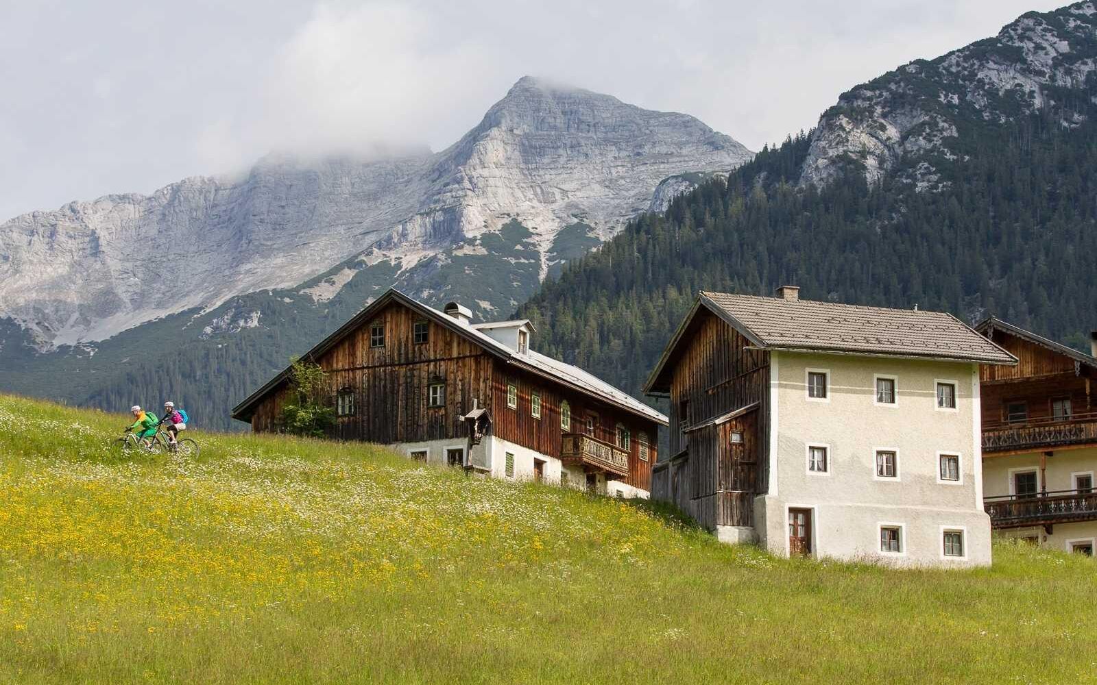 Mesnerhof-C - Sommer