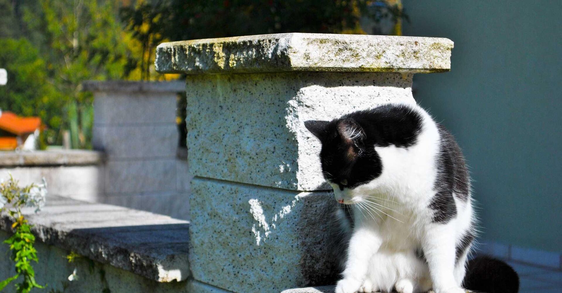 auf der Terrasse