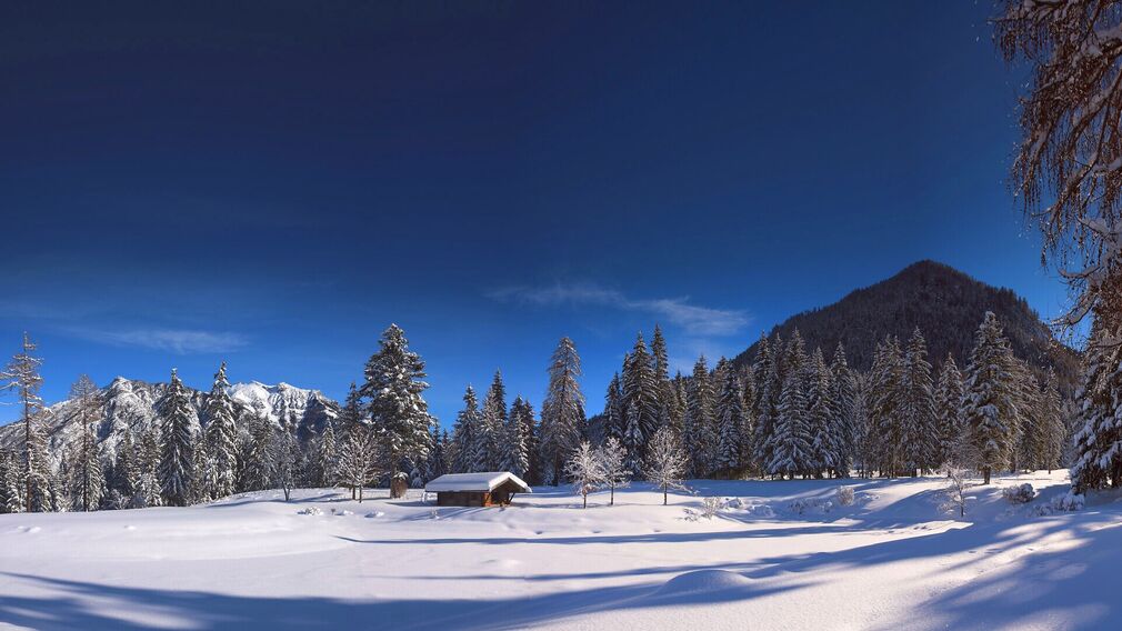 Tristenautal valley in Pertisau