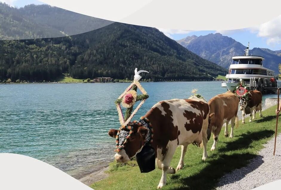 Hoamfohrafest