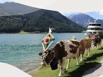 Hoamfohrafest