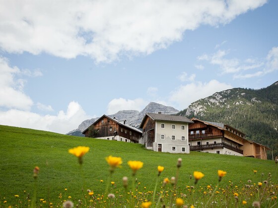 CABIN - Bauern-Hütte für 10P Mesnerhof-C