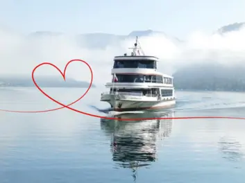 Valentinstags-Fondue