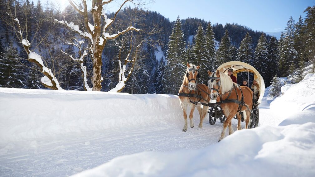 The stables are located behind the Seealm restaurant.