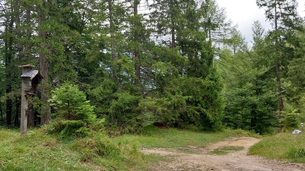 Rund 10 Kilometer vom Achensee entfernt und auf 1.015 Meter Seehöhe gelegen, befindet sich das Örtchen Steinberg am Rofan.