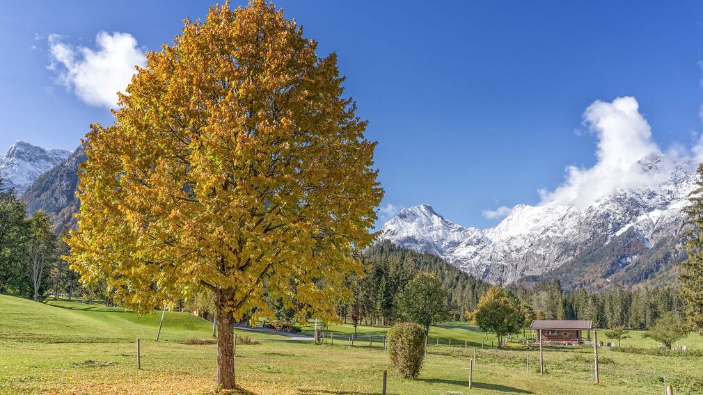 Aussicht bei der Gütenbergalm
