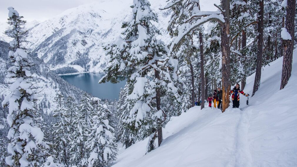 Splitboard Festival