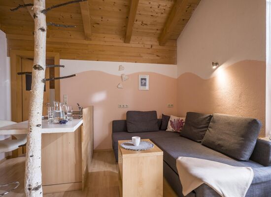 Appartement/Fewo, Dusche, WC, Balkon Appartement/Fewo, Dusche, WC, Balkon