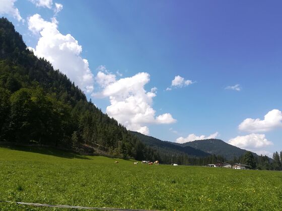 Ferienwohnung Hinterwinkl