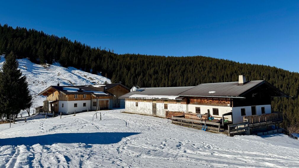 Die Falkenmoosalm in Achenkirch auf 1.328 m – im Hintergrund links der markante Guffertgipfel.