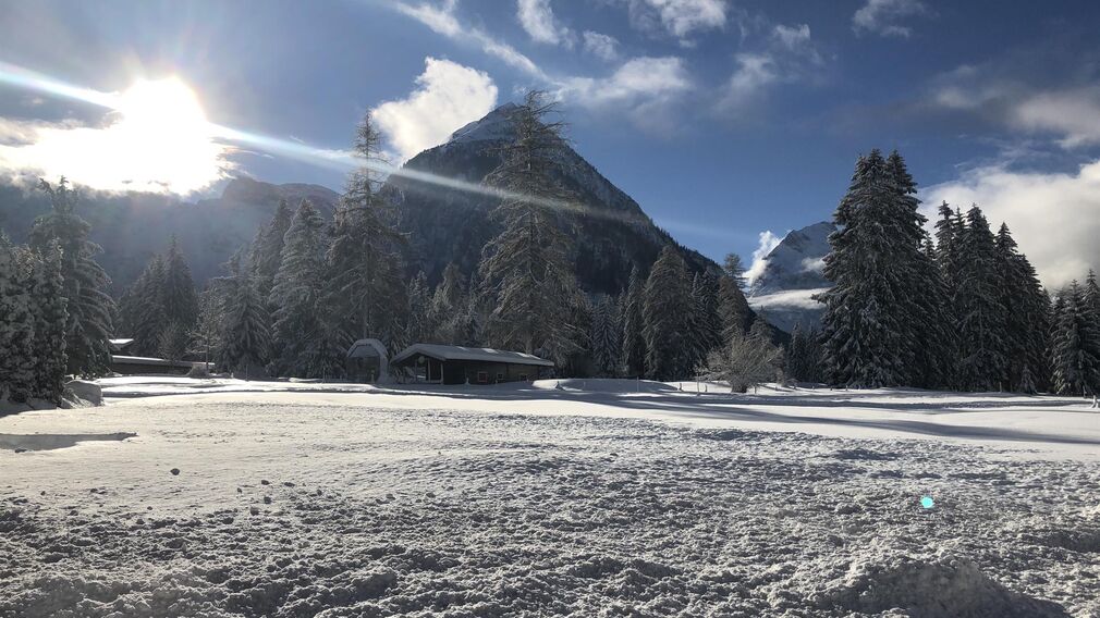 Ferienhäuser Schwarzmann - Ferienhaus Exklusiv 2