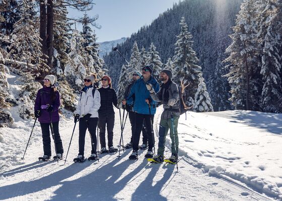 Auf den Spuren der Wildtiere
