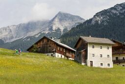 Mesnerhof-C - Sommer