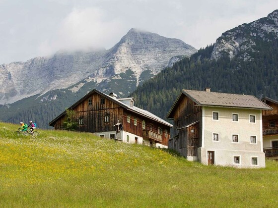 CABIN - Bauern-Hütte für 10P Mesnerhof-C