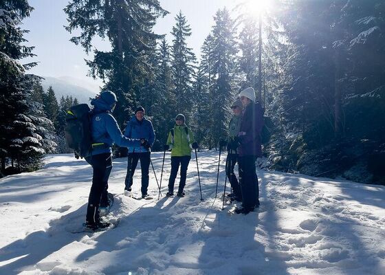 Community Wanderung: Wildtiere im Winter