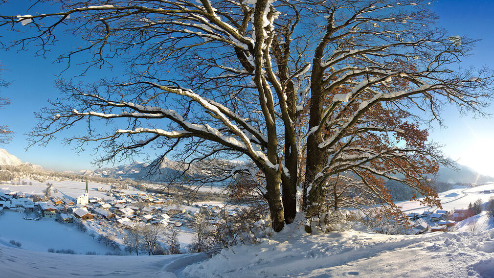 Winterwanderung am Wiesinger Bühel
