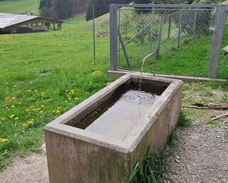 Brunnen Astenberg - Abzweigung Kanzelkehre/Rofan