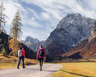 Pertisau - Falzthurnalm - Gramai Alm - Pertisau