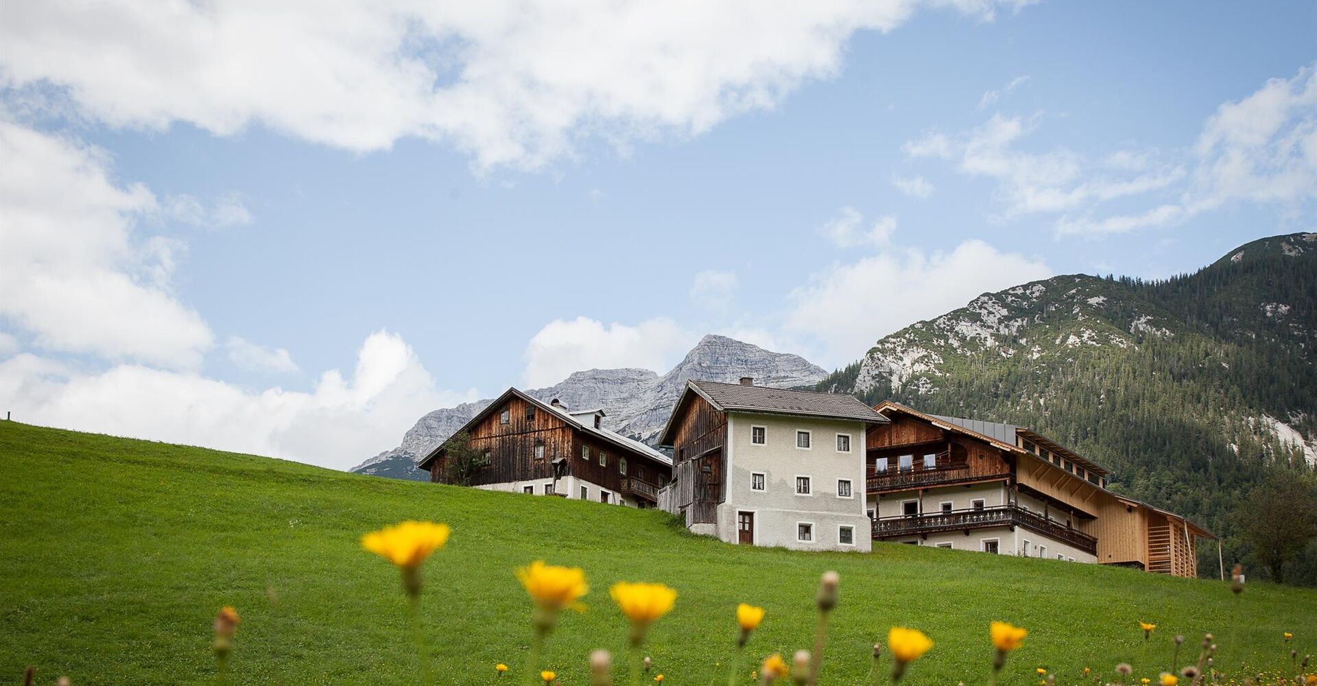 mesnerhof-1320