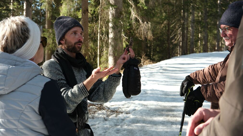Die Falkenmoosalm in Achenkirch auf 1.328 m – im Hintergrund links der markante Guffertgipfel.