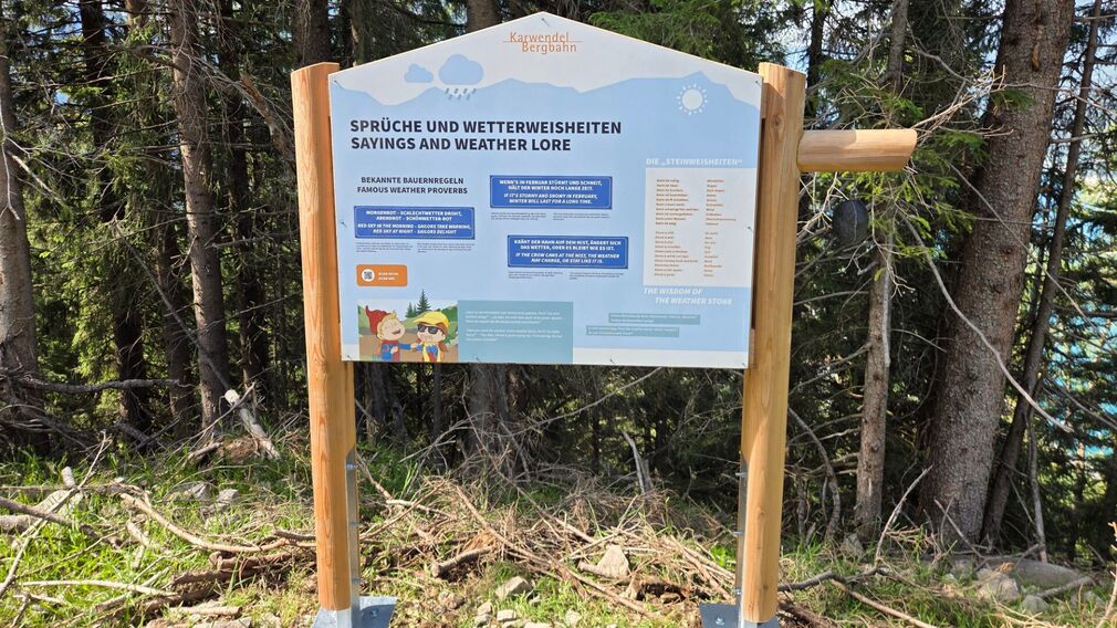 Information board about how plants and animals survive in different weather conditions.