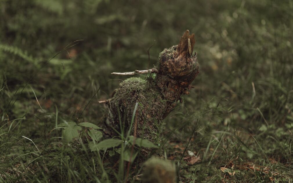 Fotoshooting_Denise_final_01-45