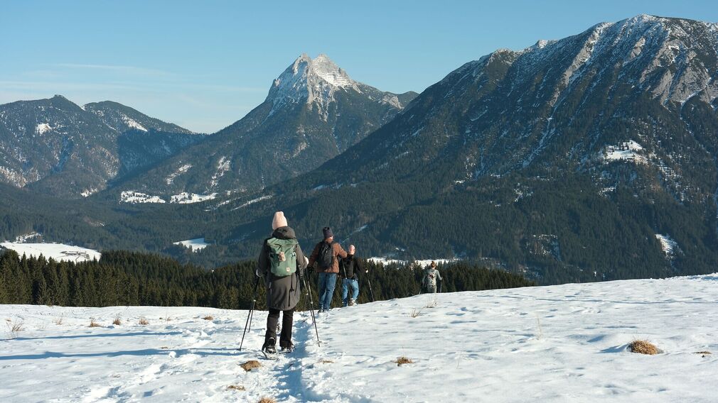 Die Falkenmoosalm in Achenkirch auf 1.328 m – im Hintergrund links der markante Guffertgipfel.