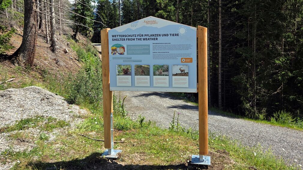 Information board about how plants and animals survive in different weather conditions.