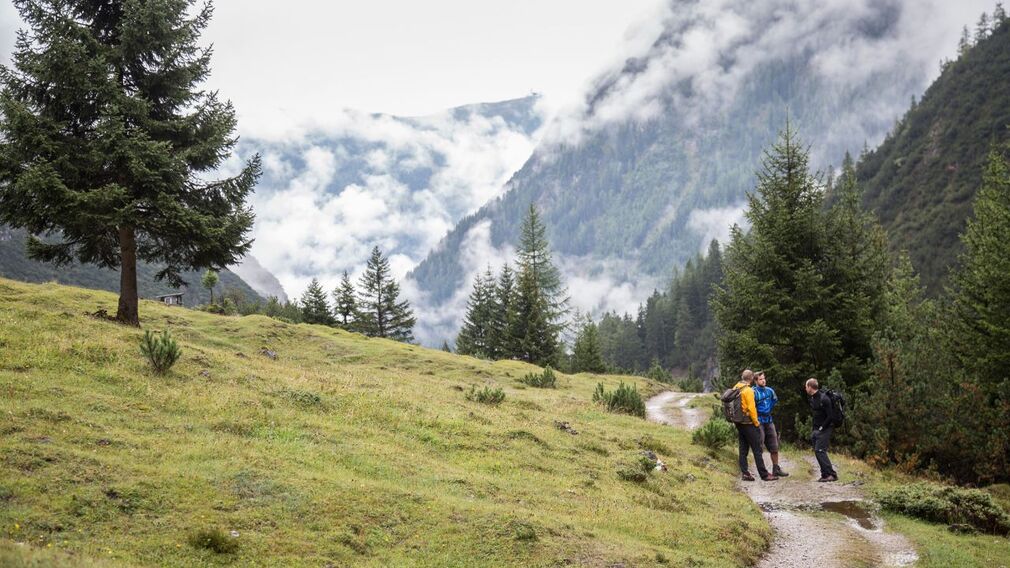 Eagle Walk Stage: 19