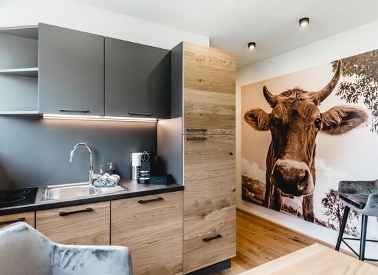 Cabin Typ "Karwendelblick"