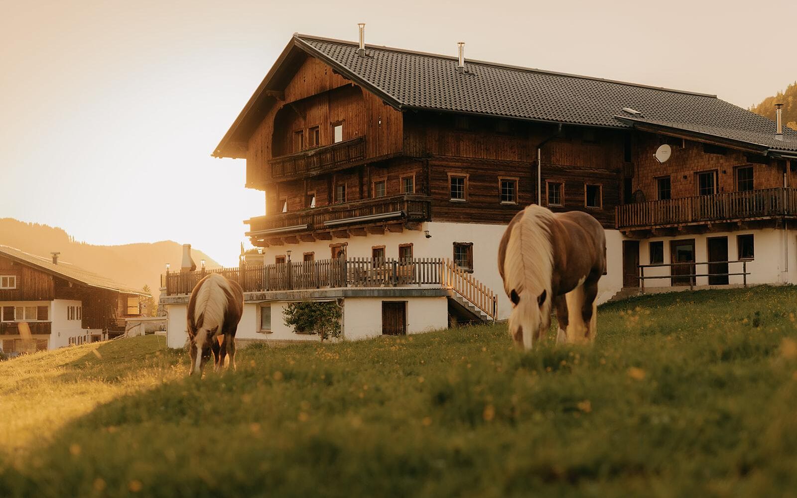 2026_Tuxerhof_Sommer_©GeislerStudio-35