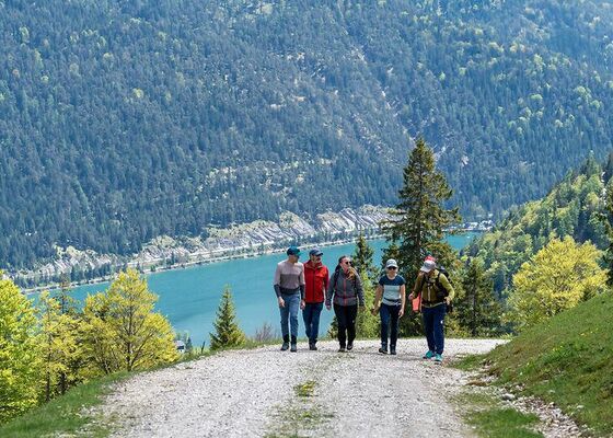 Nature Watch Tour zur Moosenalm Nature Watch Tour zur Moosenalm