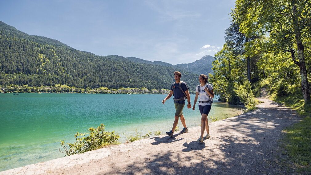 der Weg zwischen Pertisau, Gaisalm und Achenkirch bietet tolle Panoramablicke auf den Achensee