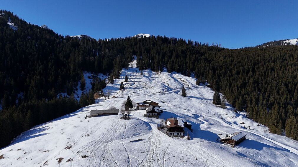 Die Falkenmoosalm in Achenkirch auf 1.328 m – im Hintergrund links der markante Guffertgipfel.