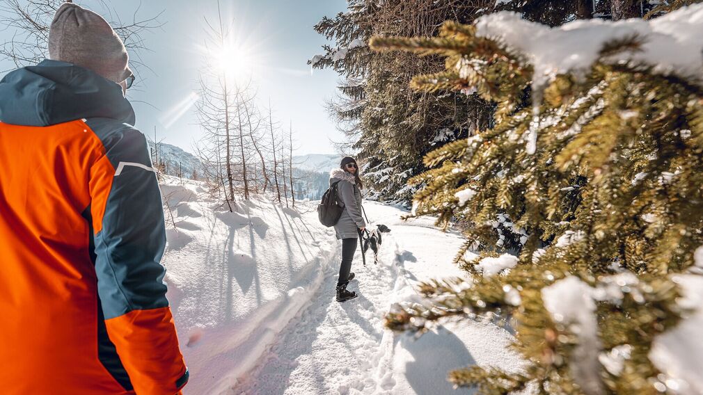 Alpine animals circular walk - along the way, there are life-size replicas of alpine animals, with interpretive panels providing detailed descriptions.