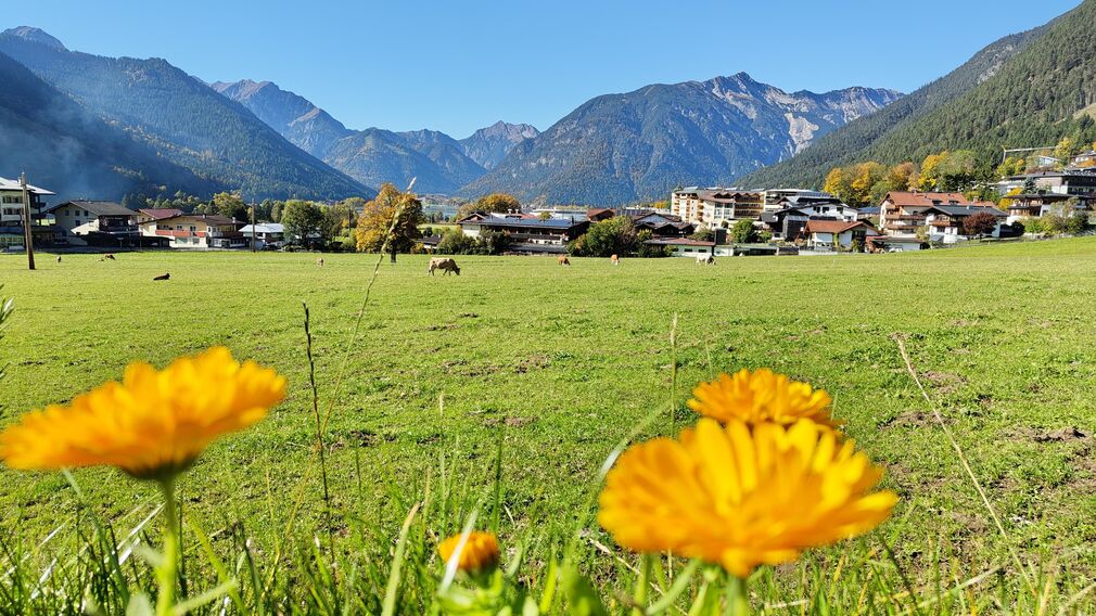 dji_fly_20251013_113938_437_1760350377318_photo_op