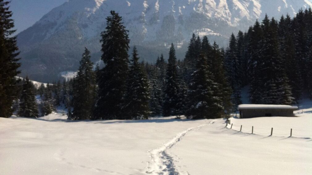 Ferienhaus Guffertblick