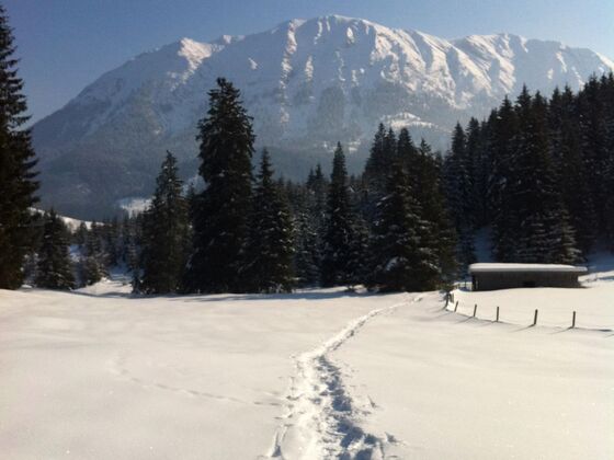 Guffertblick