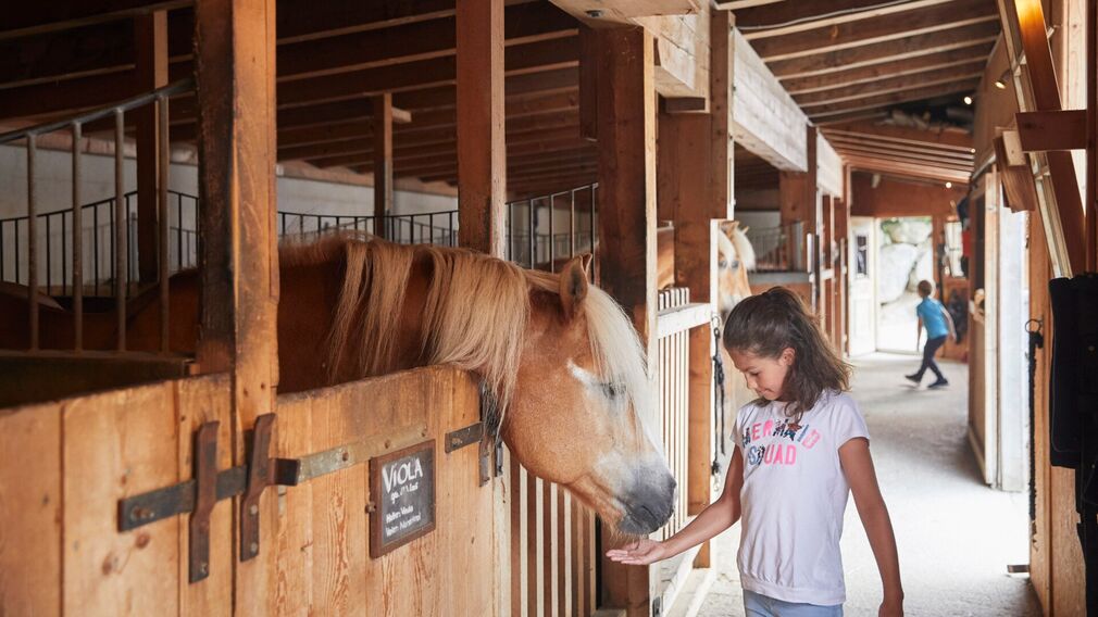 The stables are located behind the Seealm restaurant.