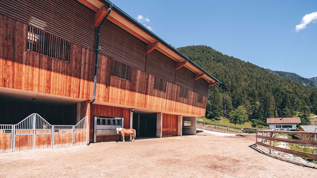 the new, bright and modern indoor riding arena at the Familienresort Buchau