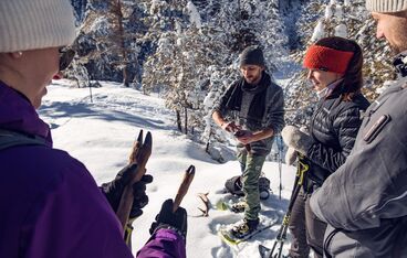 Wildtiere im Winter Wildtiere im Winter