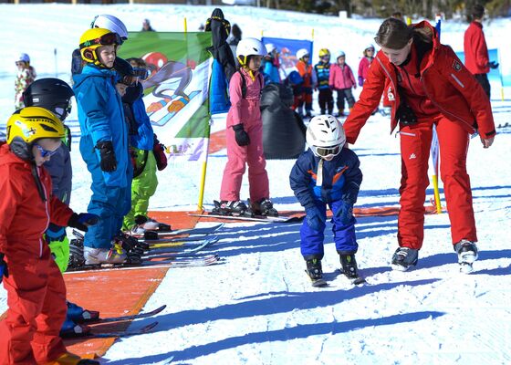 Probekarte Zwerglöwen