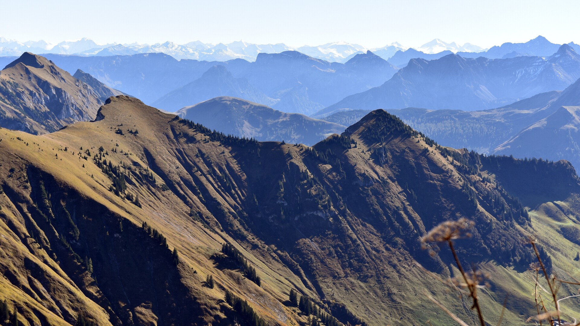 Tip: Achenwald - Rotwandhütte - Juifen - Achenwald