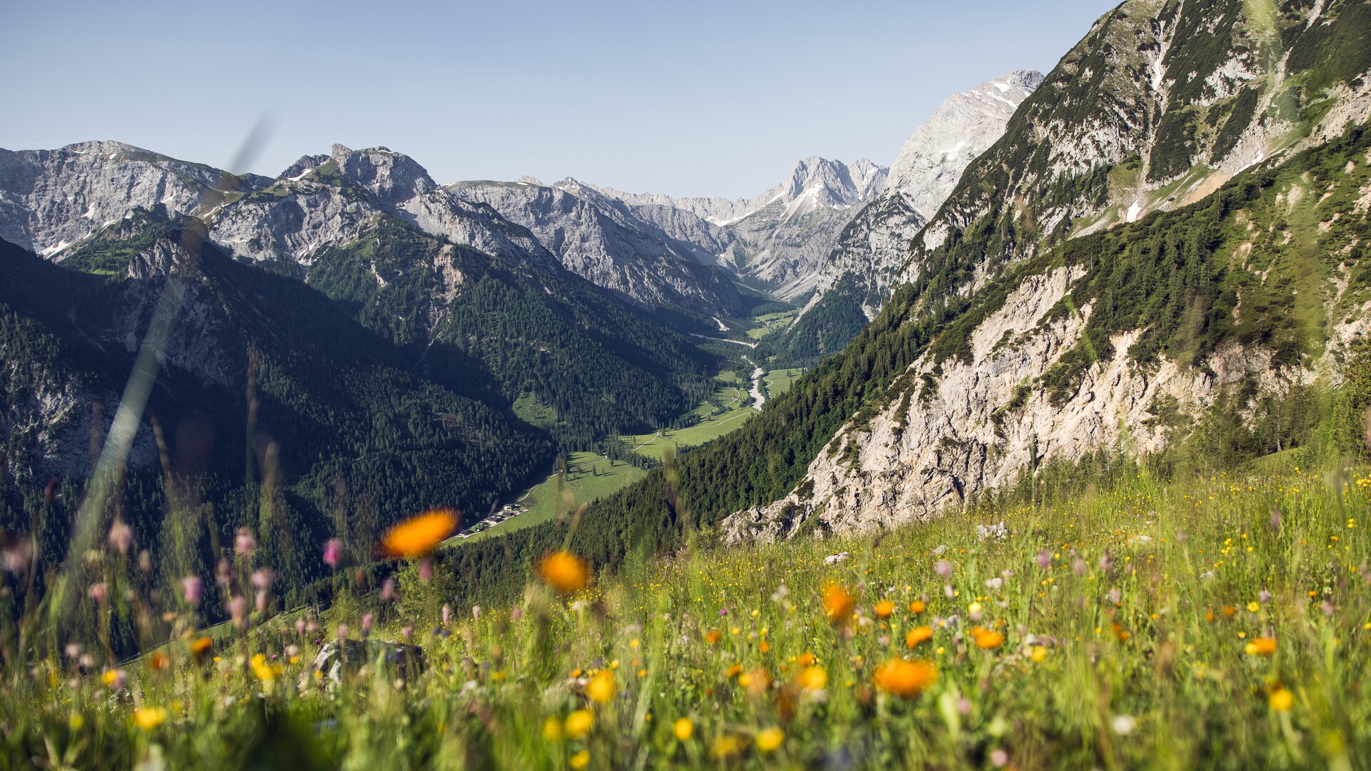 Pertisau - Falzthurnalm - Gramai Alm - Pertisau