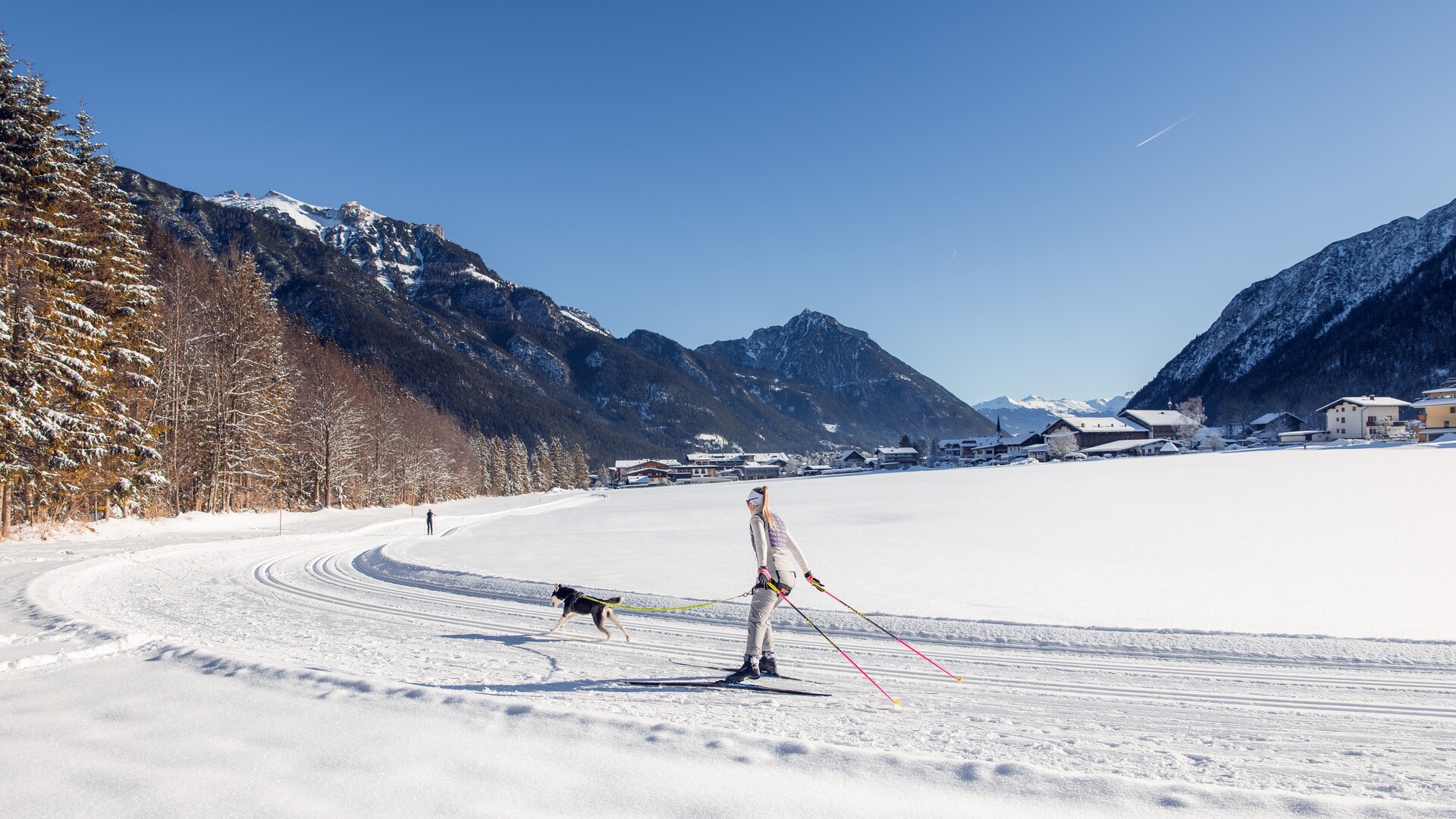 P2 - Pertisau dog-friendly trail