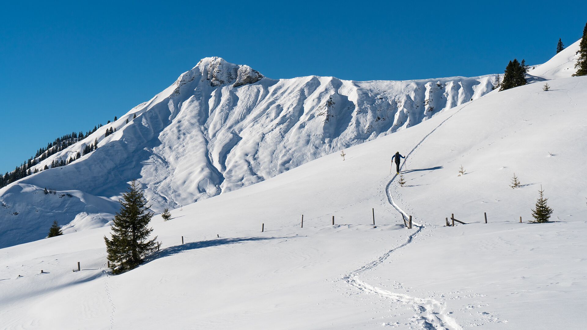 Hochplatte (1,813m) - option 2